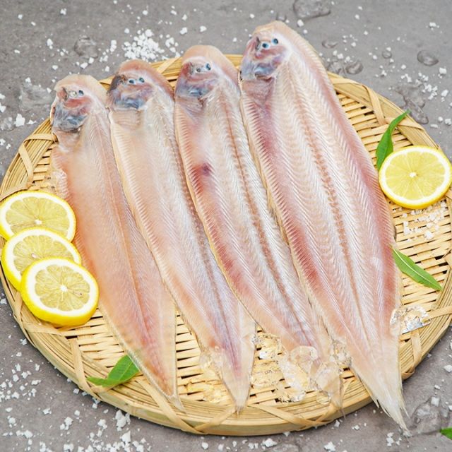 https://spdy-flexg-150.flexgate.co.kr/data/goods/airgram123/small/thum2/01_20230418111719991_1.jpg