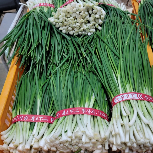 https://spdy-flexg-150.flexgate.co.kr/data/goods/airgram123/small/thum2/05_20240201094353981_1.jpg