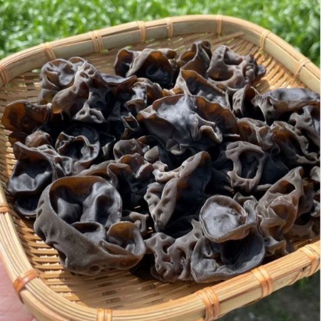 https://spdy-flexg-150.flexgate.co.kr/data/goods/airgram123/small/thum2/121_20250909112717266_1.JPG