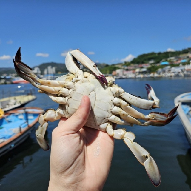 https://spdy-flexg-150.flexgate.co.kr/data/goods/airgram123/small/thum2/KakaoTalk_20250720_174213875_20250722114411631_1.jpg