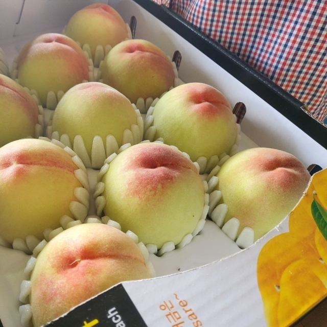 https://spdy-flexg-150.flexgate.co.kr/data/goods/airgram123/small/thum2/KakaoTalk_20250725_170215591.jpg