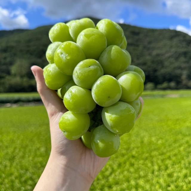 https://spdy-flexg-150.flexgate.co.kr/data/goods/airgram123/small/thum2/KakaoTalk_20250808_155256465_03.jpg