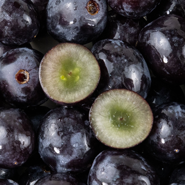 20브릭스 이상! 프리미엄 블랙세이블포도