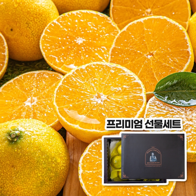 https://spdy-flexg-150.flexgate.co.kr/data/goods/airgram123/small/thum2/thumb_20250915121455187_1.jpg