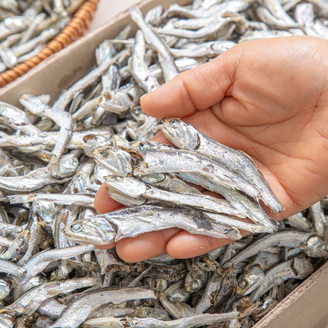 [2개이상 무료배송] 지금 쟁여두세요! 국내산 고바멸치