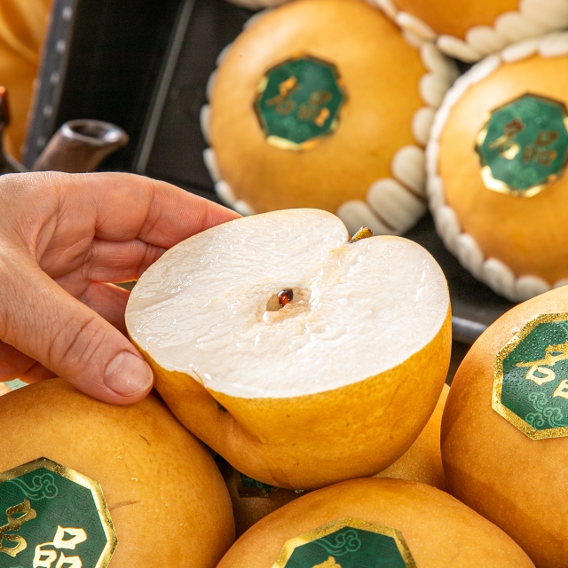 https://spdy-flexg-150.flexgate.co.kr/data/goods/airgram123/small/thum2/배선물세트056_20251001053841721_1.jpg