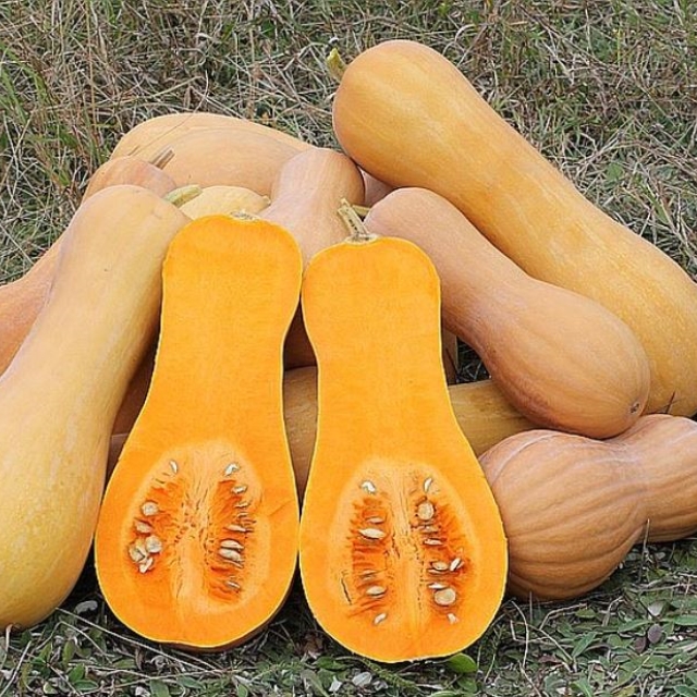 https://spdy-flexg-150.flexgate.co.kr/data/goods/airgram123/small/thum2/캡처1_20240722032821732_1.JPG