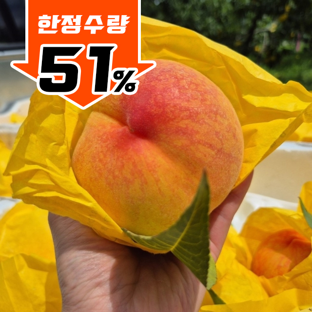 https://spdy-flexg-150.flexgate.co.kr/data/goods/airgram123/small/thum2/한정특가_단황도_썸네일_v1.jpg