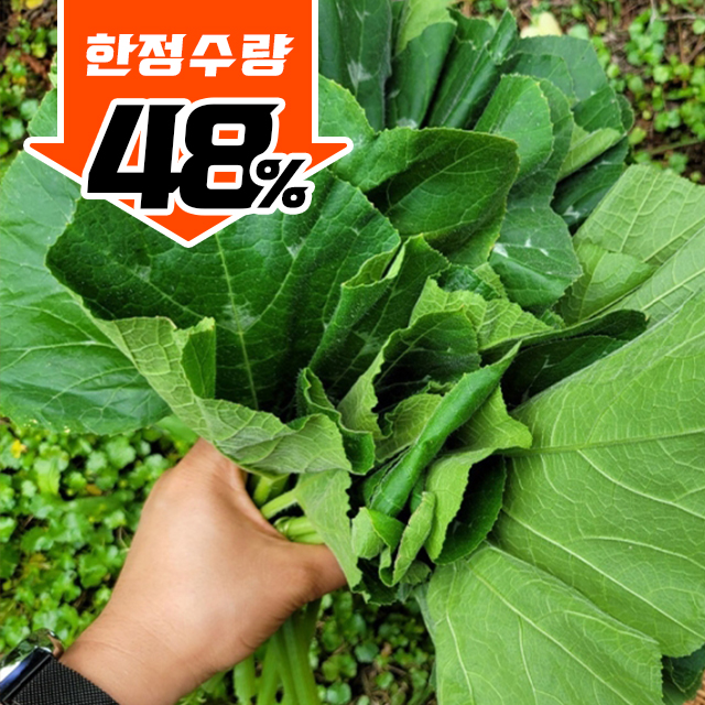 https://spdy-flexg-150.flexgate.co.kr/data/goods/airgram123/small/thum2/호박잎정지선.jpg